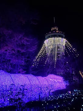 江の島シーキャンドルに投稿された画像（2020/12/13）