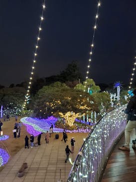 江の島シーキャンドルに投稿された画像（2020/12/13）