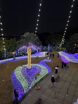 江の島シーキャンドルに投稿された画像（2020/12/13）
