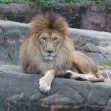 天王寺動物園に投稿された画像（2020/12/13）