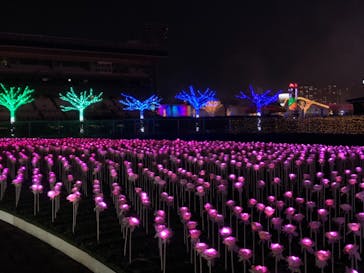 東京メガイルミに投稿された画像（2020/12/13）