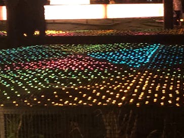 東京メガイルミに投稿された画像（2020/12/13）