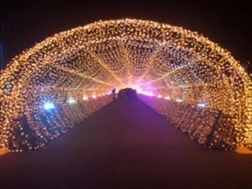 東京メガイルミに投稿された画像（2020/12/13）