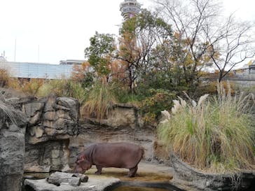 天王寺動物園に投稿された画像（2020/12/13）