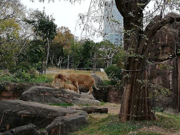 天王寺動物園に投稿された画像（2020/12/13）