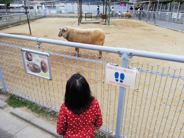 天王寺動物園に投稿された画像（2020/12/13）