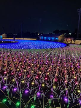 東京メガイルミに投稿された画像（2020/12/13）