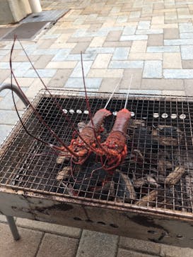 志摩市浜島磯体験施設 海ほおずきに投稿された画像（2020/12/13）