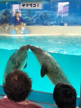 下田海中水族館に投稿された画像（2020/12/13）
