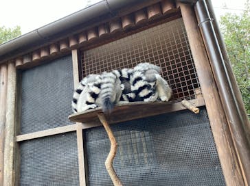 神戸どうぶつ王国に投稿された画像（2020/12/13）