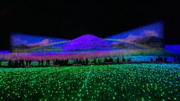 なばなの里に投稿された画像（2020/12/13）