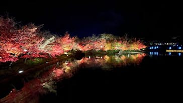 なばなの里に投稿された画像（2020/12/13）