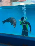 下田海中水族館に投稿された画像（2020/12/13）