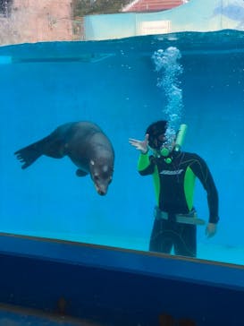 下田海中水族館に投稿された画像（2020/12/13）