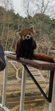 秋吉台自然動物公園 サファリランドに投稿された画像（2020/12/13）