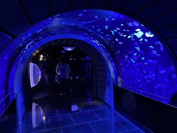 サンシャイン水族館に投稿された画像（2020/12/13）