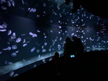 サンシャイン水族館に投稿された画像（2020/12/13）