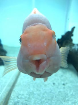 マクセル アクアパーク品川に投稿された画像（2020/12/13）