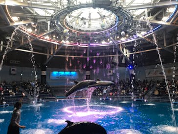 マクセル アクアパーク品川に投稿された画像（2020/12/13）