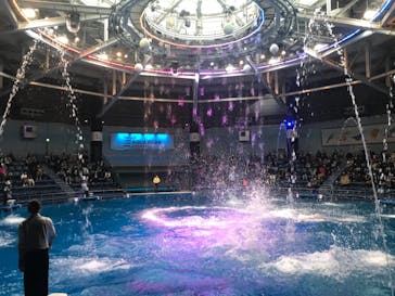 マクセル アクアパーク品川に投稿された画像（2020/12/13）