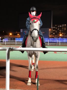 東京メガイルミに投稿された画像（2020/12/13）