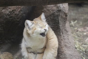 那須どうぶつ王国に投稿された画像（2020/12/13）