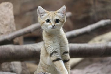 那須どうぶつ王国に投稿された画像（2020/12/13）