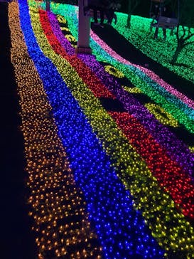 さがみ湖MORI MORIに投稿された画像（2020/12/13）