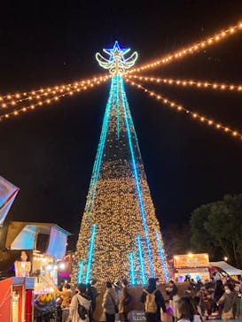 さがみ湖MORI MORIに投稿された画像（2020/12/13）