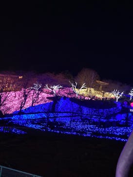 さがみ湖MORI MORIに投稿された画像（2020/12/13）