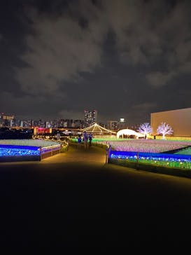 東京メガイルミに投稿された画像（2020/12/13）