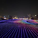 東京メガイルミに投稿された画像（2020/12/13）