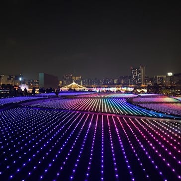 東京メガイルミに投稿された画像（2020/12/13）