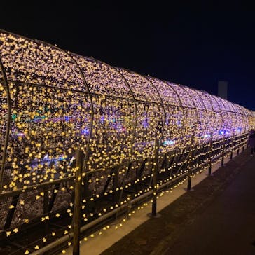 東京メガイルミに投稿された画像（2020/12/13）