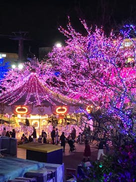 よみうりランド 遊園地に投稿された画像（2020/12/13）