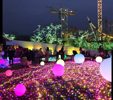 よみうりランド 遊園地に投稿された画像（2020/12/13）