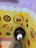 横浜アンパンマンこどもミュージアムに投稿された画像（2020/12/13）