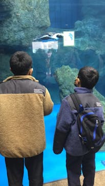 京都水族館に投稿された画像（2020/12/13）