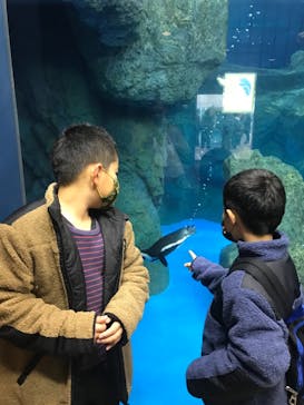 京都水族館に投稿された画像（2020/12/13）