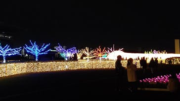 東京メガイルミに投稿された画像（2020/12/13）