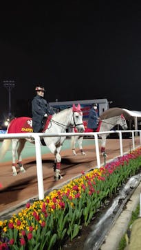 東京メガイルミに投稿された画像（2020/12/13）