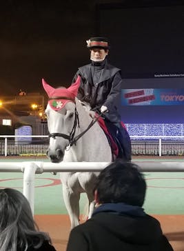 東京メガイルミに投稿された画像（2020/12/13）