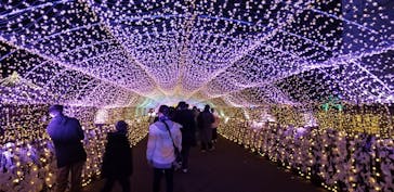 東京メガイルミに投稿された画像（2020/12/13）