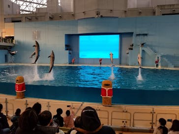 横浜・八景島シーパラダイスに投稿された画像（2020/12/13）