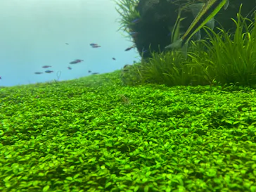 すみだ水族館に投稿された画像（2020/12/13）