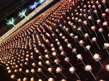 東京メガイルミに投稿された画像（2020/12/13）