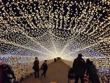 東京メガイルミに投稿された画像（2020/12/13）