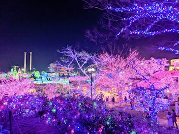 よみうりランド 遊園地に投稿された画像（2020/12/13）