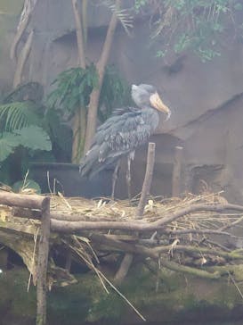 那須どうぶつ王国に投稿された画像（2020/12/13）