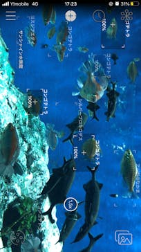 サンシャイン水族館に投稿された画像（2020/12/13）